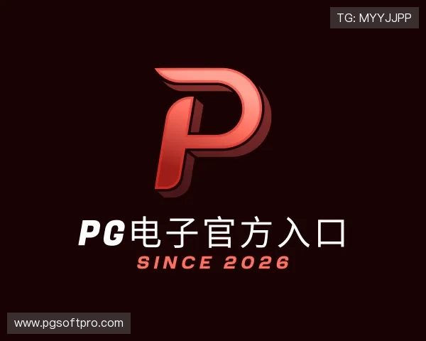 关于PG电子官方入口